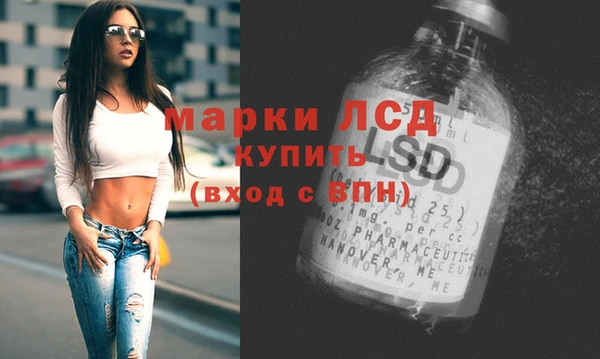 трава Арсеньев