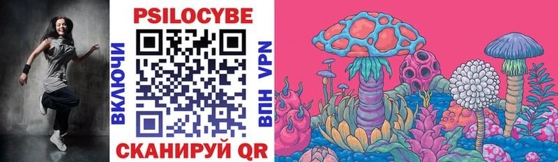 купить   OMG сайт  Псилоцибиновые грибы прущие грибы  Лабинск 