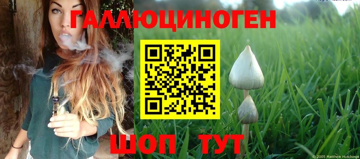 Лабинск  Псилоцибиновые грибы Psilocybine cubensis  даркнет сайт  Вход с VPN  Галлюциногенные грибы ЛСД 